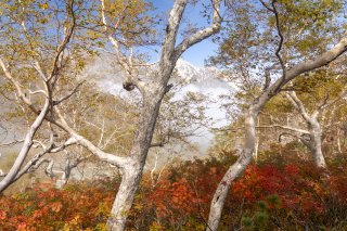 紅葉と白馬三山